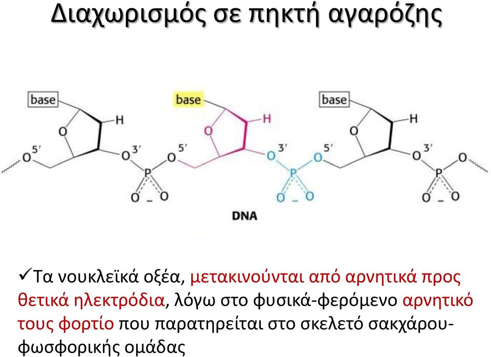 ηλεκτρόδια, λόγω στο φυσικά-φερόμενο αρνητικό