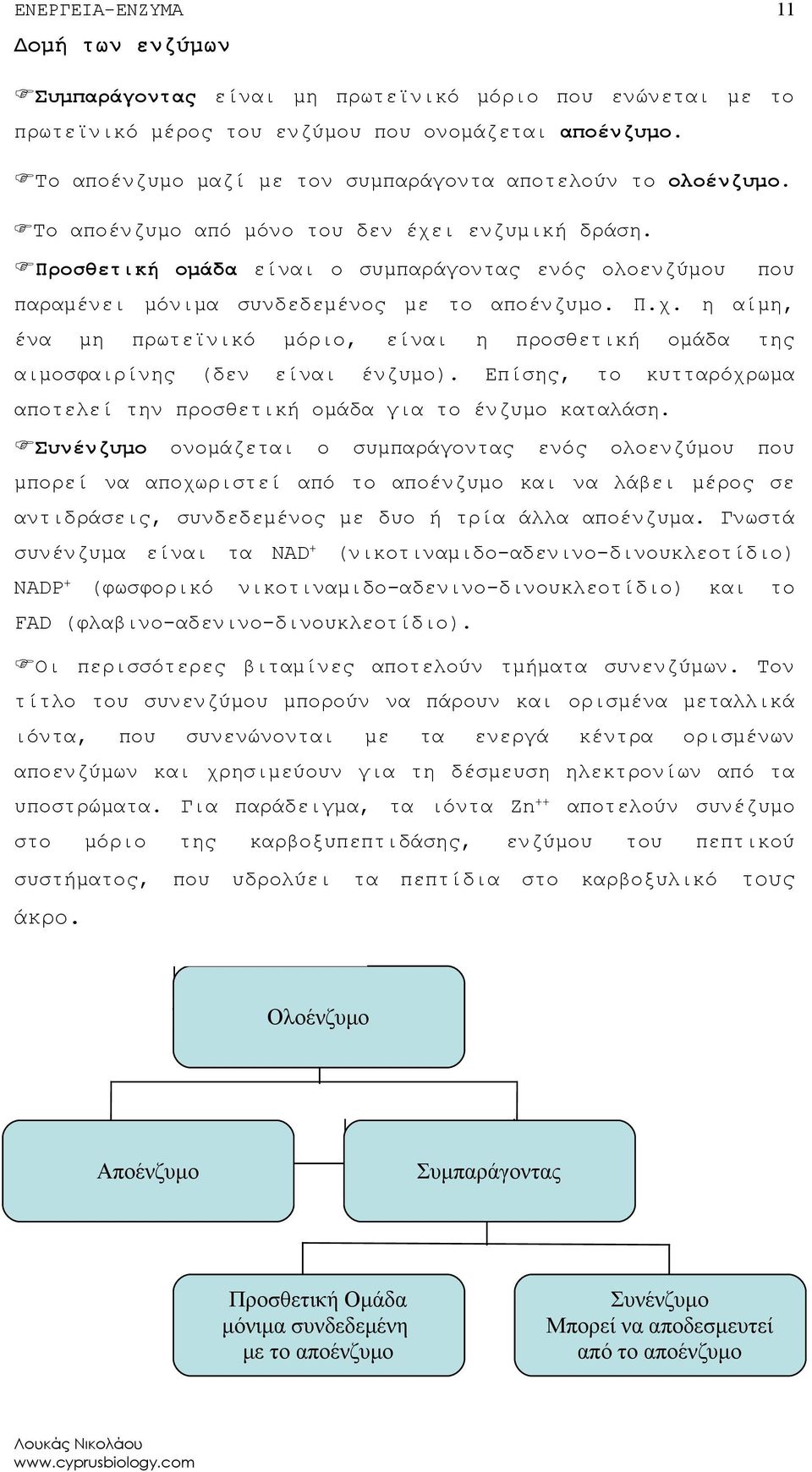 Προσθετική ομάδα είναι ο συμπαράγοντας ενός ολοενζύμου που παραμένει μόνιμα συνδεδεμένος με το αποένζυμο. Π.χ.