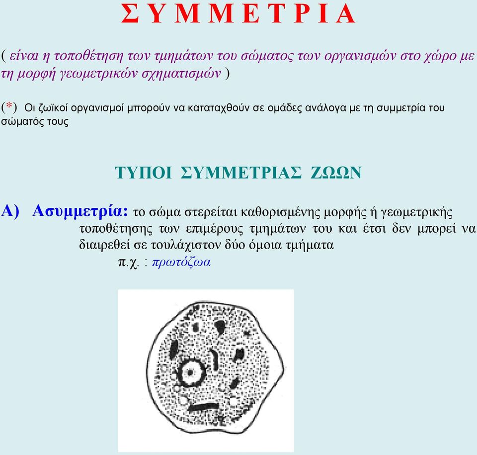 του σώματός τους ΤΥΠΟΙ ΣΥΜΜΕΤΡΙΑΣ ΖΩΩΝ Α) Ασυμμετρία: το σώμα στερείται καθορισμένης μορφής ή γεωμετρικής