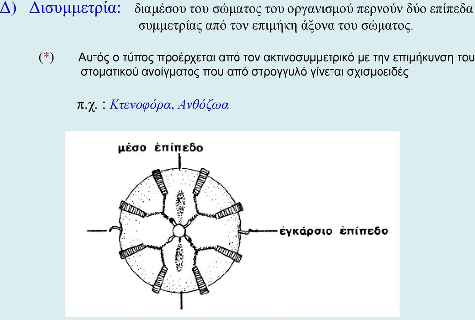 (*) Αυτός ο τύπος προέρχεται από τον ακτινοσυμμετρικό με την