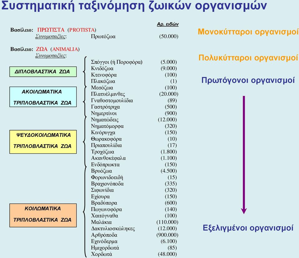 Ποροφόρα) (5.000) Κνιδόζωα (9.000) Κτενοφόρα (100) Πλακόζωα (1) Μεσόζωα (100) Πλατυέλμινθες (20.000) Γναθοστομουλίδια (89) Γαστρότριχα (500) Νημερτίνοι (900) Νηματώδεις (12.