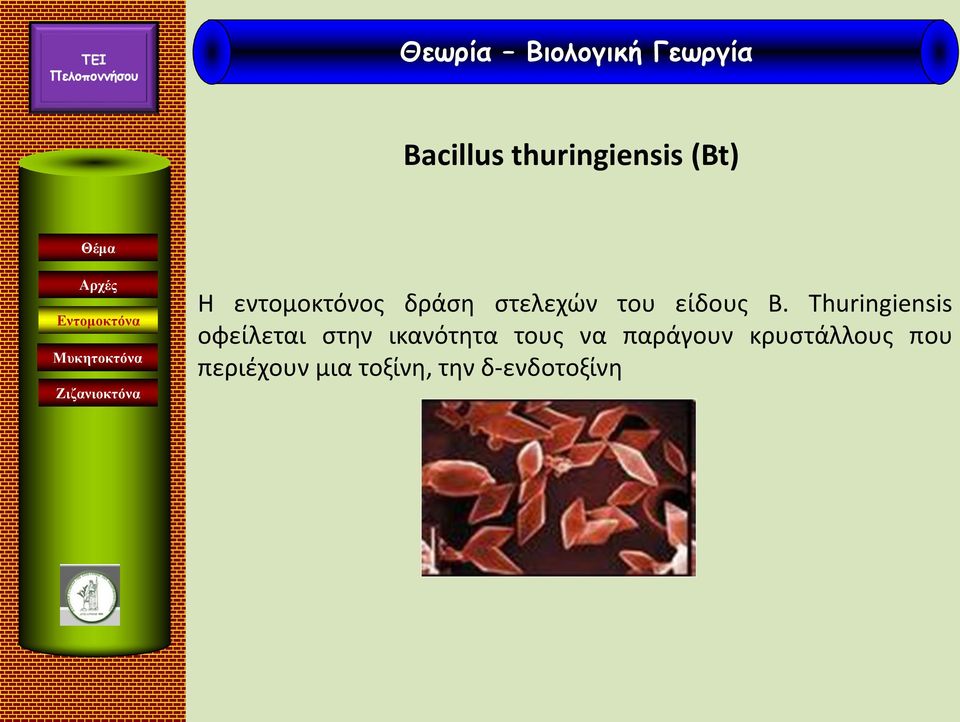 Thuringiensis οφείλεται στην ικανότητα τους