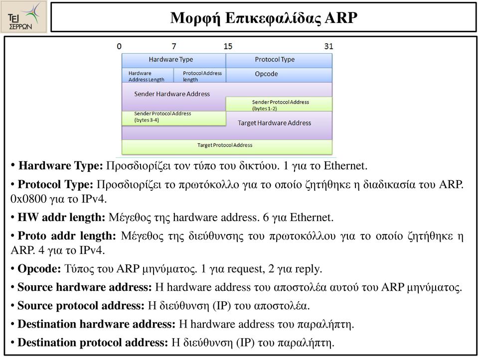 Proto addr length: Μέγεθος της διεύθυνσης του πρωτοκόλλου για το οποίο ζητήθηκε η ARP. 4 για το IPv4. Opcode: Τύπος του ARP μηνύματος. 1 για request, 2 για reply.