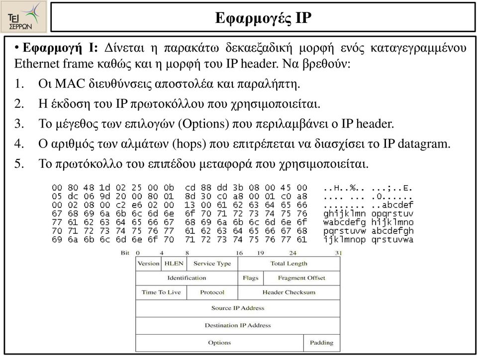 Η έκδοση του IP πρωτοκόλλου που χρησιμοποιείται. 3.