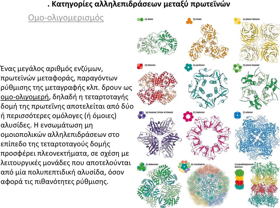 δρουν ως ομο-ολιγομερή, δηλαδή η τεταρτοταγής δομή της πρωτεΐνης αποτελείται από δύο ή περισσότερες ομόλογες (ή όμοιες)