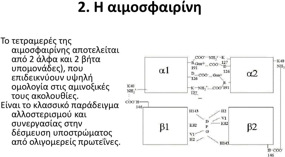 ακολουθίες.