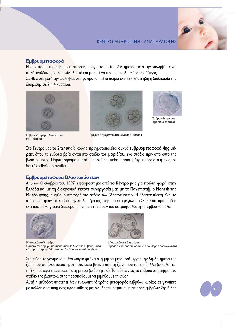 Έμβρυο 4ης μέρας ή μορίδιο (morula) Έμβρυα 2ης μέρας διαιρεμένα σε 4 κύτταρα Έμβρυα 3 ημερών διαιρεμένα σε 8 κύτταρα Στο Κέντρο μας τα 2 τελευταία χρόνια πραγματοποιείται συχνά εμβρυομεταφορά 4ης