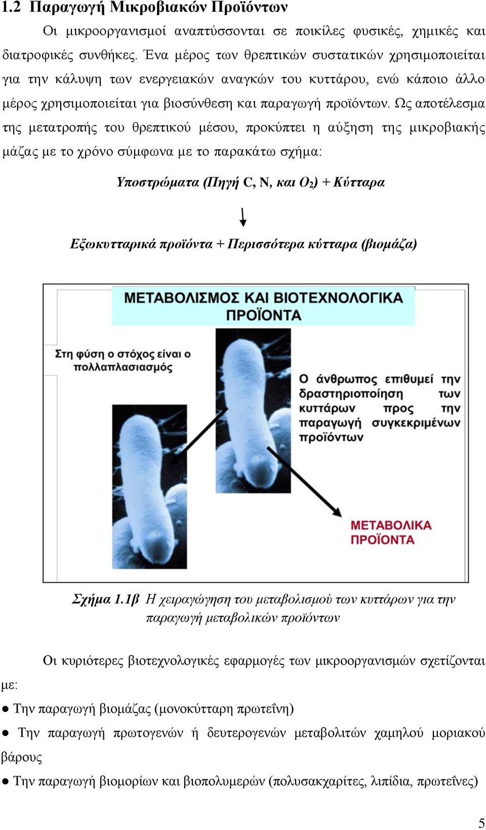 Ως αποτέλεσμα της μετατροπής του θρεπτικού μέσου, προκύπτει η αύξηση της μικροβιακής μάζας με το χρόνο σύμφωνα με το παρακάτω σχήμα: Υποστρώματα (Πηγή C, N, και Ο2) + Κύτταρα Εξωκυτταρικά προϊόντα +