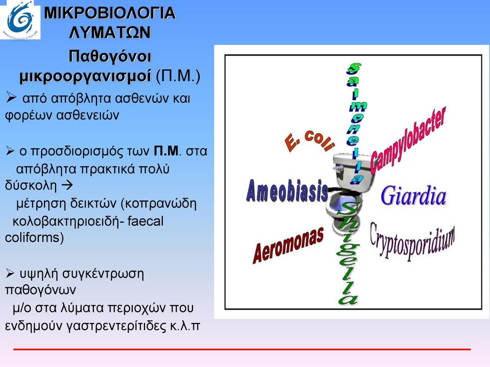 κολοβακτηριοειδή- faecal coliforms) υψηλή συγκέντρωση παθογόνων μ/ο στα