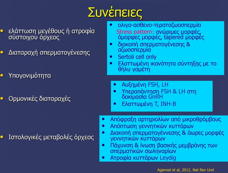 ικανότητα σύντηξης µε το θήλυ γαµέτη Αυξηµένη FSH, LH Υπεραπάντηση FSH & LH στη δοκιµασία GnRH Ελαττωµένη T, INH-B Απόφραξη αρτηριολίων από µικροθρόµβους Απόπτωση