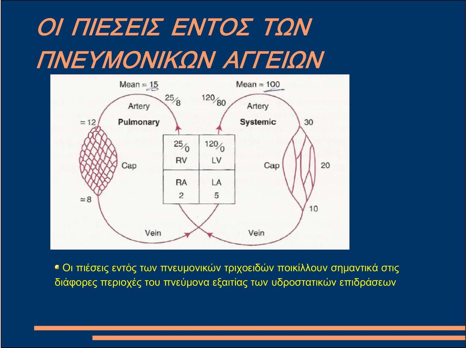 ποικίλλουν σημαντικά στις διάφορες περιοχές