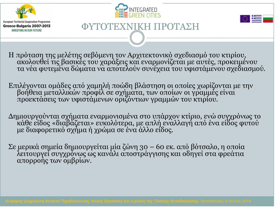 Επιλέγονται ομάδες από χαμηλή ποώδη βλάστηση οι οποίες χωρίζονται με την βοήθεια μεταλλικών προφίλ σε σχήματα, των οποίων οι γραμμές είναι προεκτάσεις των υφιστάμενων οριζόντιων γραμμών του κτιρίου.