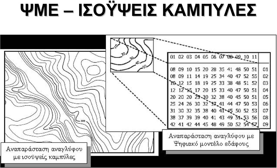 ΚΑΜΠΥΛΕΣ