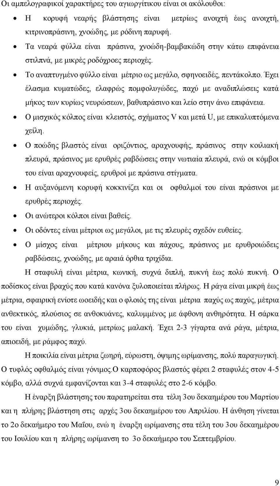 Έχει έλασμα κυματώδες, ελαφρώς πομφολυγώδες, παχύ με αναδιπλώσεις κατά μήκος των κυρίως νευρώσεων, βαθυπράσινο και λείο στην άνω επιφάνεια.
