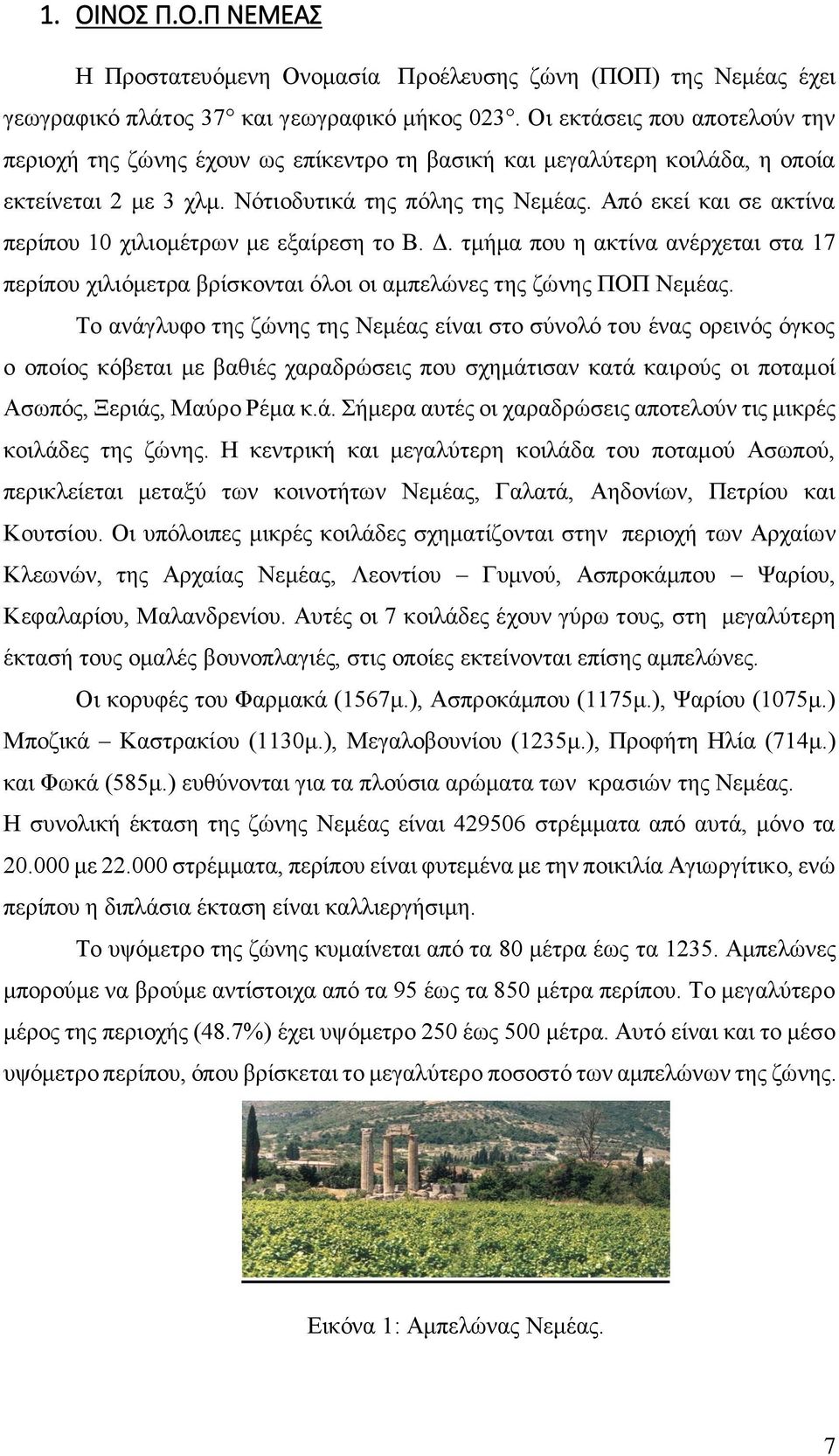 Από εκεί και σε ακτίνα περίπου 10 χιλιομέτρων με εξαίρεση το Β. Δ. τμήμα που η ακτίνα ανέρχεται στα 17 περίπου χιλιόμετρα βρίσκονται όλοι οι αμπελώνες της ζώνης ΠΟΠ Νεμέας.