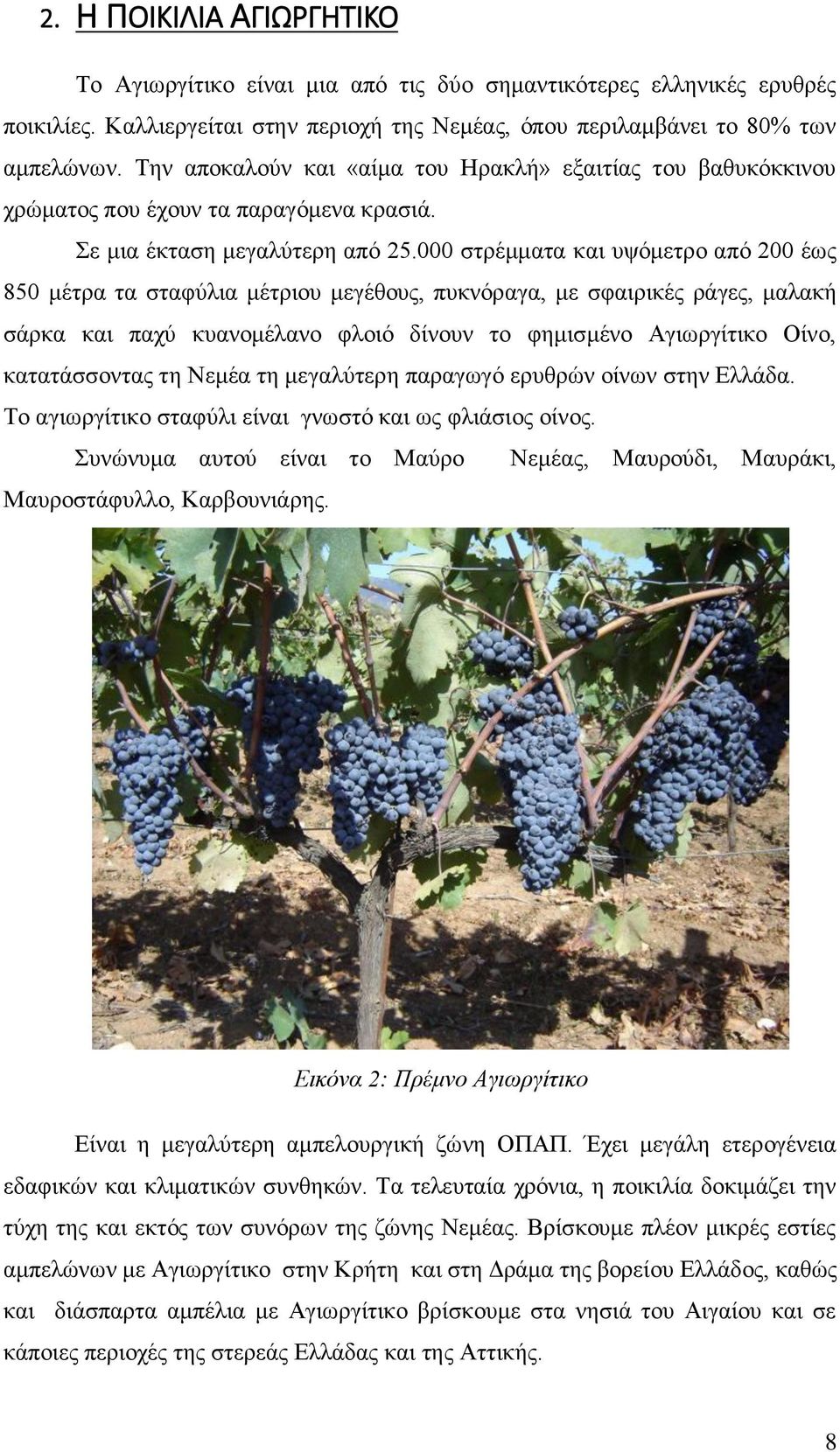 000 στρέμματα και υψόμετρο από 200 έως 850 μέτρα τα σταφύλια μέτριου μεγέθους, πυκνόραγα, με σφαιρικές ράγες, μαλακή σάρκα και παχύ κυανομέλανο φλοιό δίνουν το φημισμένο Αγιωργίτικο Οίνο,
