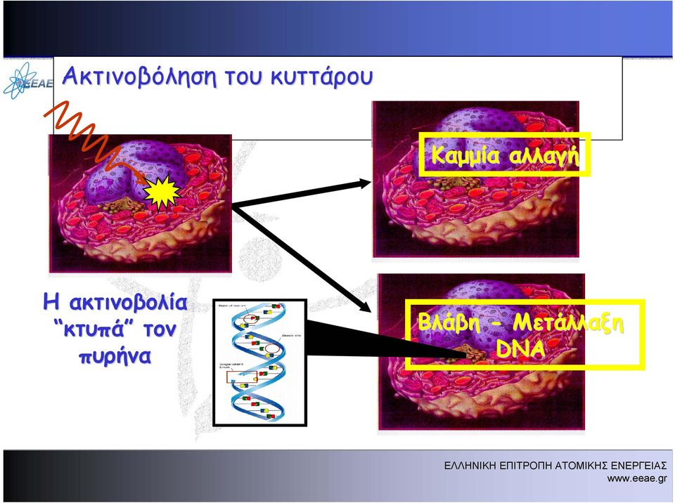 Η ακτινοβολία κτυπά