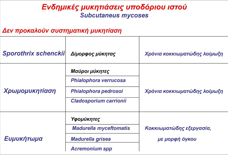 verrucosa Χρωμομυκητίαση Phialophora pedrosoi Χρόνια κοκκιωματώδης λοίμωξη Cladosporium carrionii