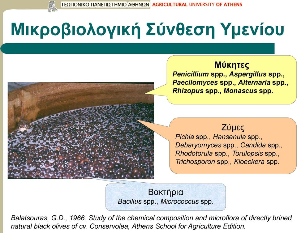 , Torulopsis spp., Trichosporon spp., Kloeckera spp. Βακτήρια Bacillus spp., Micrococcus spp. Balatsouras, G.D., 1966.