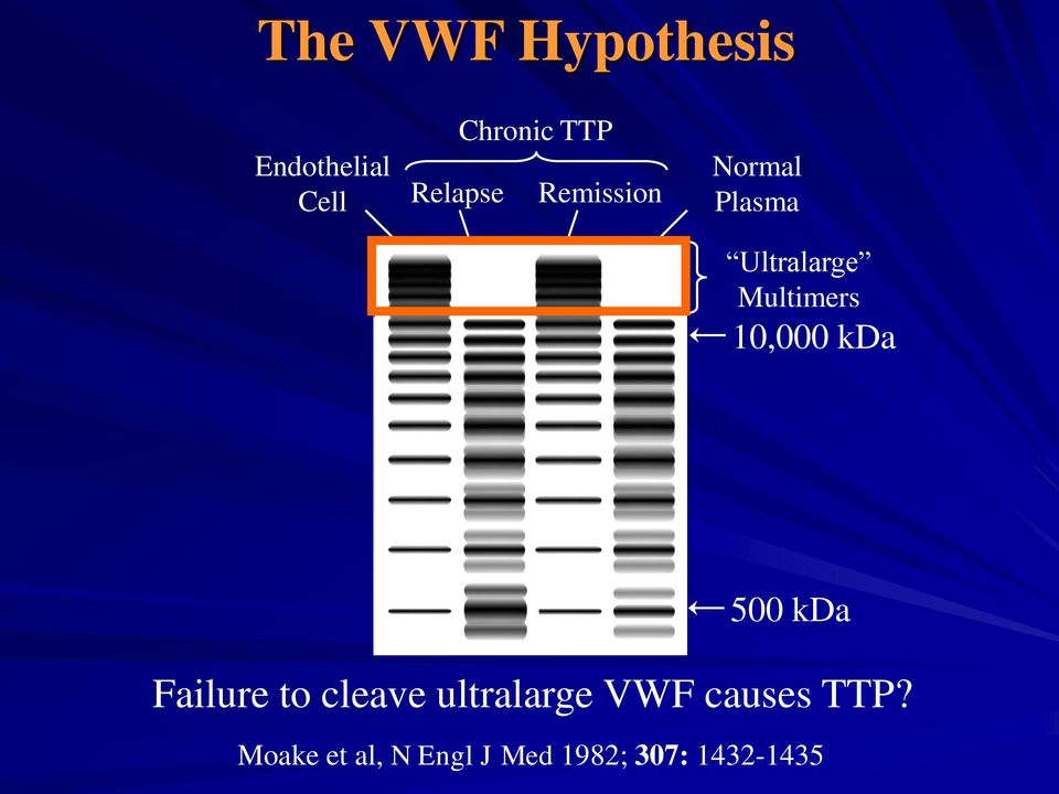 10,000 kda 500 kda Failure to cleave ultralarge VWF