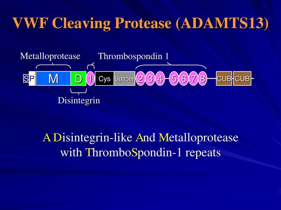 Spacer 2 3 4 5 6 7 8 CUB CUB Disintegrin A