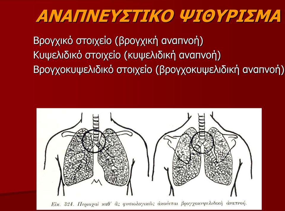 στοιχείο (κυψελιδική αναπνοή)