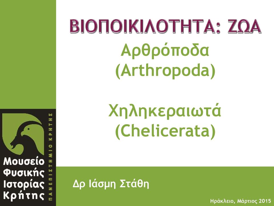 (Arthropoda) Χηληκεραιωτά