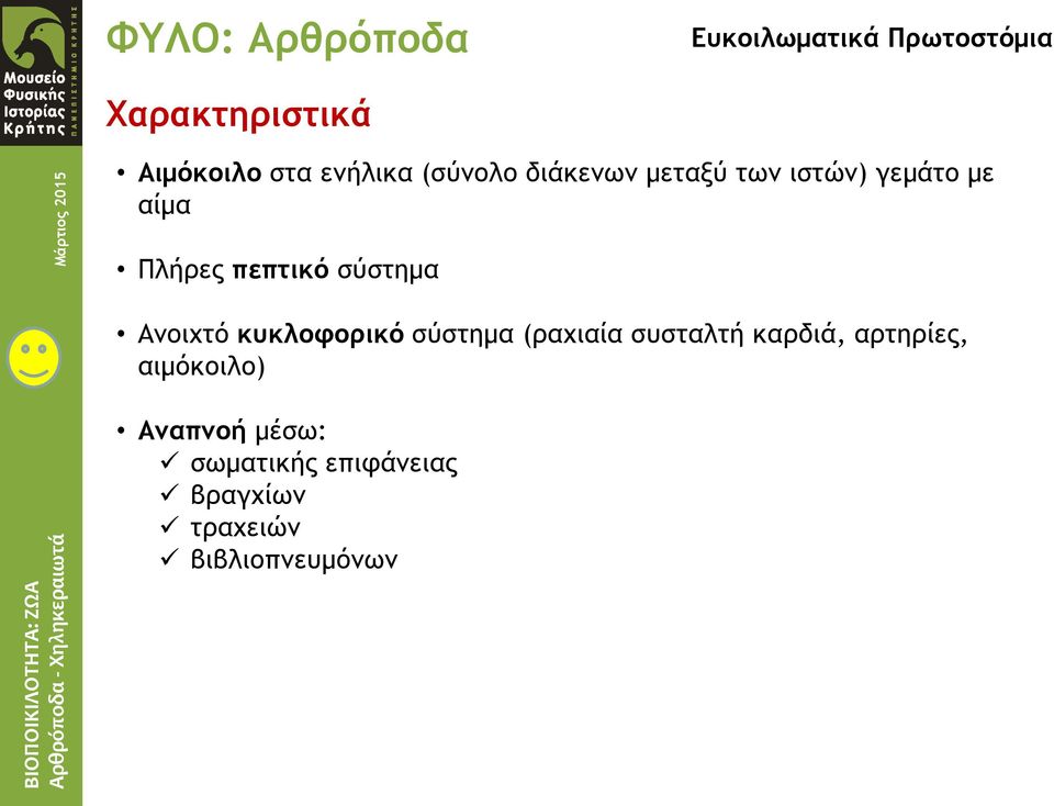 σύστημα Ανοιχτό κυκλοφορικό σύστημα (ραχιαία συσταλτή καρδιά, αρτηρίες,