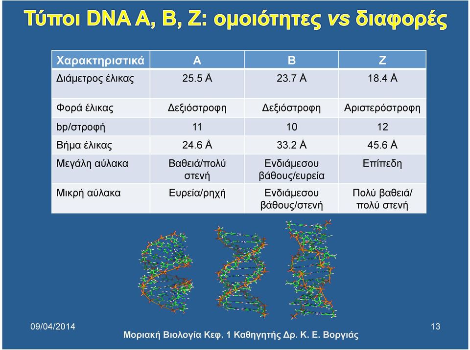 6 Å Μεγάλη αύλακα Βαθειά/πολύ στενή Ενδιάµεσου βάθους/ευρεία Επίπεδη Μικρή