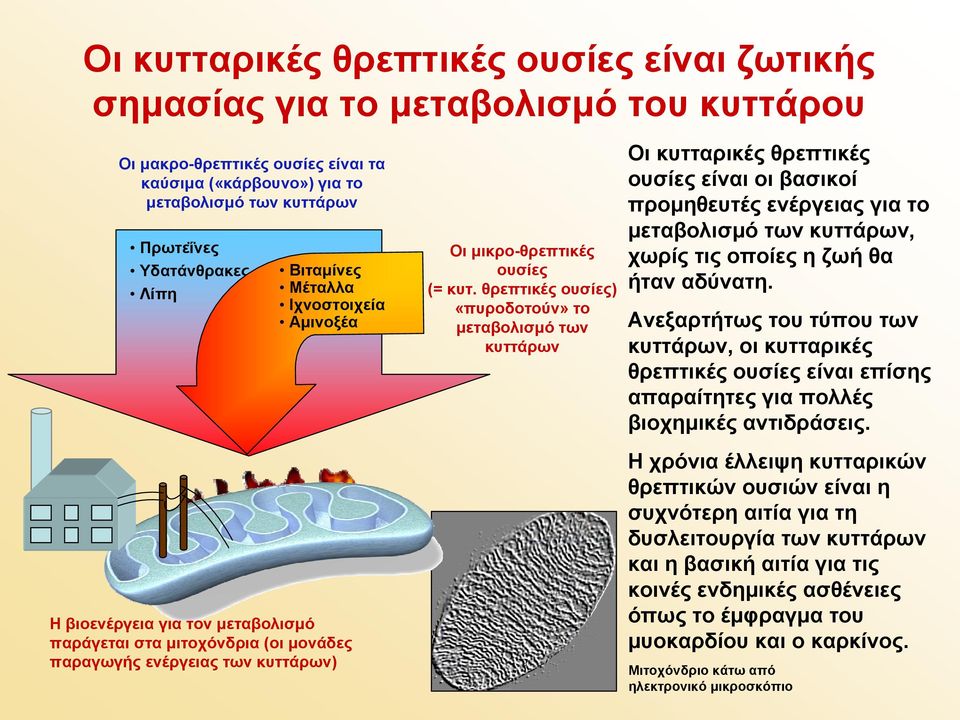 θρεπτικές ουσίες) «πυροδοτούν» το μεταβολισμό των κυττάρων Οι κυτταρικές θρεπτικές ουσίες είναι οι βασικοί προμηθευτές ενέργειας για το μεταβολισμό των κυττάρων, χωρίς τις οποίες η ζωή θα ήταν