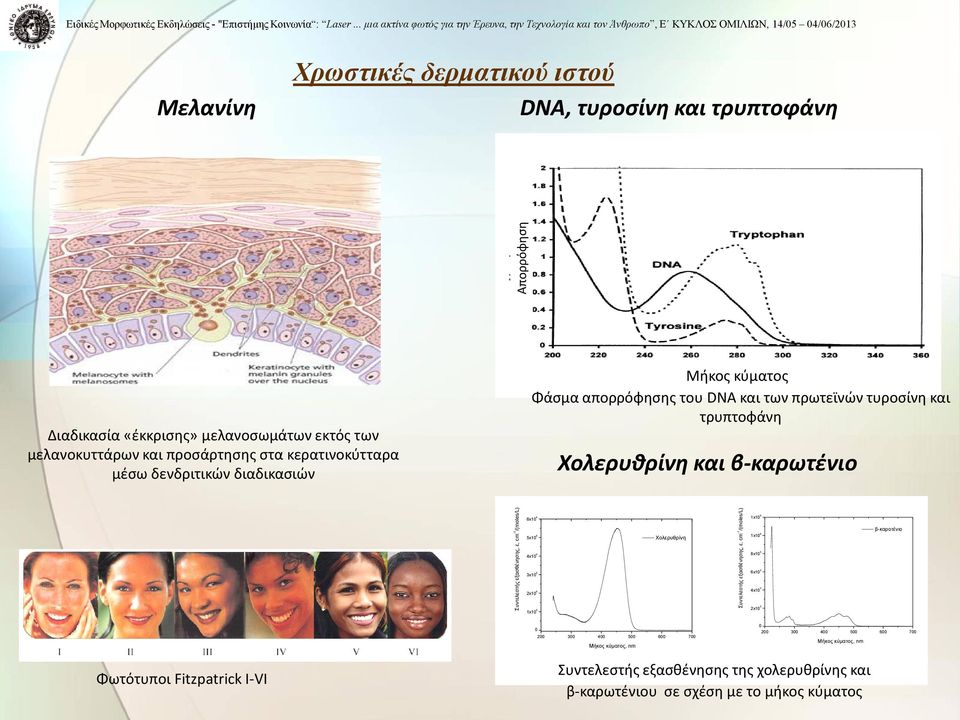 μελανοσωμάτων εκτός των μελανοκυττάρων και προσάρτησης στα κερατινοκύτταρα μέσω δενδριτικών διαδικασιών Μήκος κύματος Φάσμα απορρόφησης του DNA και των πρωτεϊνών τυροσίνη και τρυπτοφάνη Χολερυθρίνη
