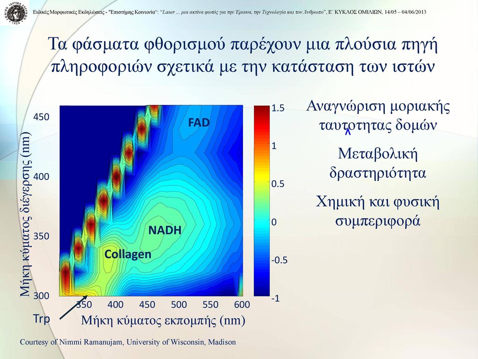 πλούσια πηγή πληροφοριών σχετικά με την κατάσταση των ιστών 450 FAD 1.5 Αναγνώριση μοριακής ταυτοτητας δομών 400 350 Collagen NADH 1 0.