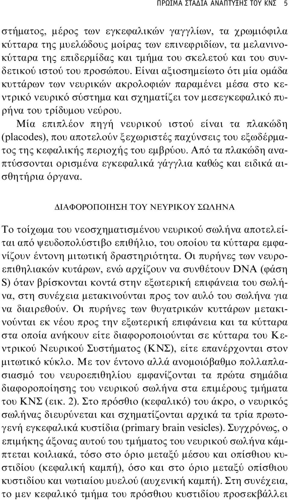 Είναι αξιοσημείωτο ότι μία ομάδα κυττάρων των νευρικών ακρολοφιών παραμένει μέσα στο κεντρικό νευρικό σύστημα και σχηματίζει τον μεσεγκεφαλικό πυρήνα του τρίδυμου νεύρου.