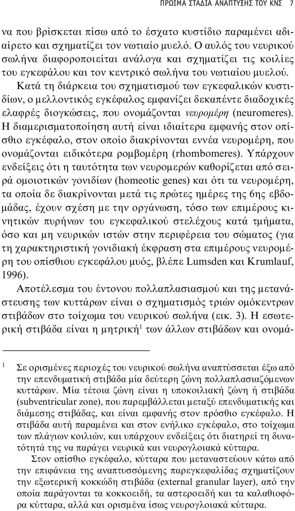 Κατά τη διάρκεια του σχηματισμού των εγκεφαλικών κυστιδίων, ο μελλοντικός εγκέφαλος εμφανίζει δεκαπέντε διαδοχικές ελαφρές διογκώσεις, που ονομάζονται νευρομέρη (neuromeres).