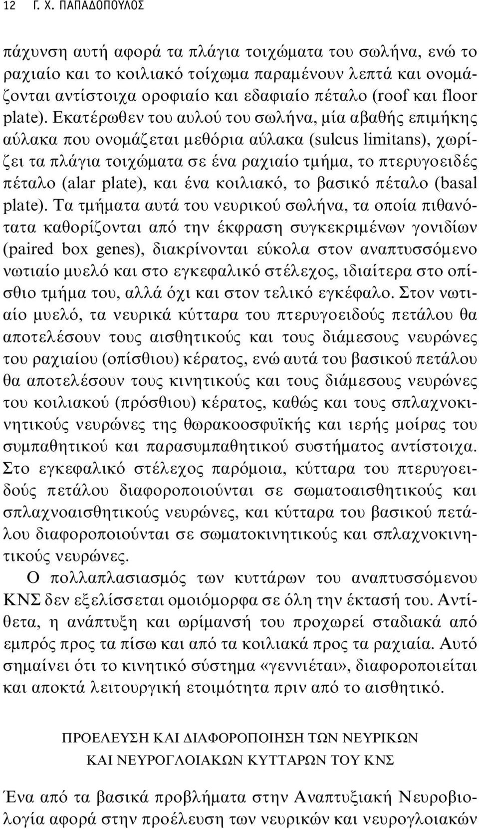 Εκατέρωθεν του αυλού του σωλήνα, μία αβαθής επιμήκης αύλακα που ονομάζεται μεθόρια αύλακα (sulcus limitans), χωρίζει τα πλάγια τοιχώματα σε ένα ραχιαίο τμήμα, το πτερυγοειδές πέταλο (alar plate), και