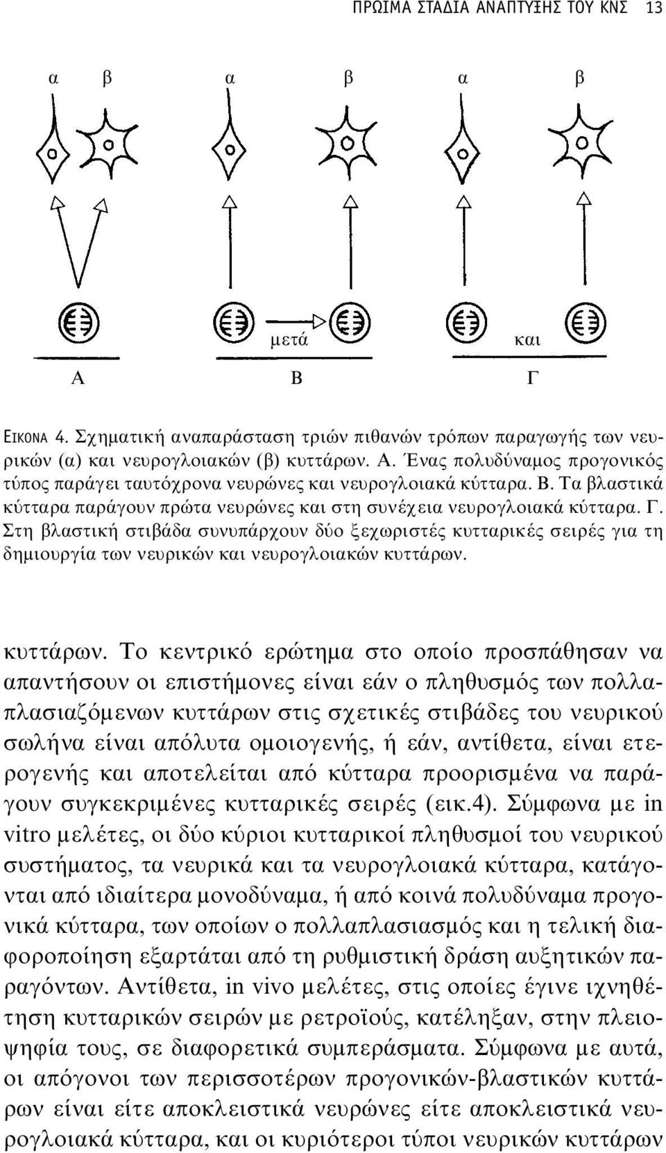 Στη βλαστική στιβάδα συνυπάρχουν δύο ξεχωριστές κυτταρικές σειρές για τη δημιουργία των νευρικών και νευρογλοιακών κυττάρων.