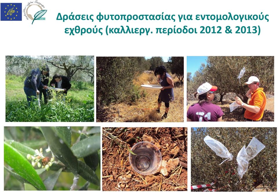 εντομολογικούς