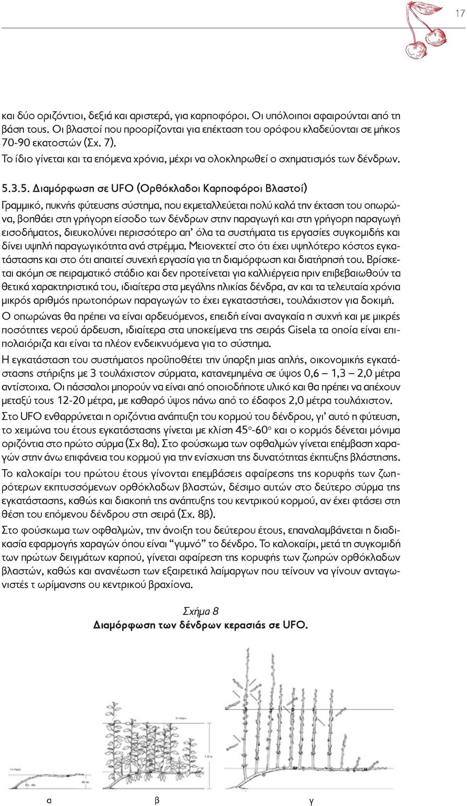 3.5. Διαμόρφωση σε UFO (Ορθόκλαδοι Καρποφόροι Βλαστοί) Γραμμικό, πυκνής φύτευσης σύστημα, που εκμεταλλεύεται πολύ καλά την έκταση του οπωρώνα, βοηθάει στη γρήγορη είσοδο των δένδρων στην παραγωγή και