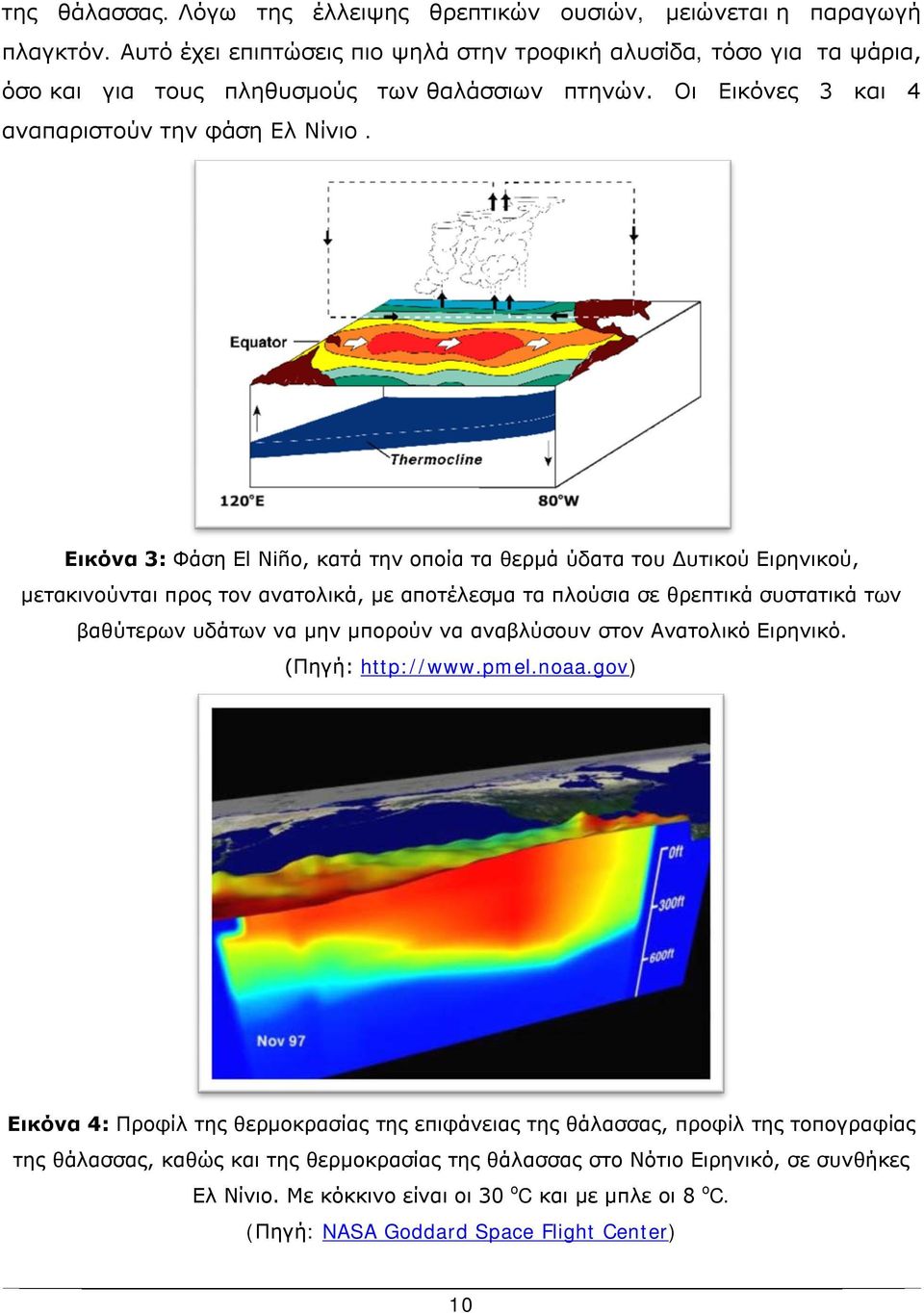 Εικόνα 3: Φάση El Niño, κατά την οποία τα θερμά ύδατα του Δυτικού Ειρηνικού, μετακινούνται προς τον ανατολικά, με αποτέλεσμα τα πλούσια σε θρεπτικά συστατικά των βαθύτερων υδάτων να μην μπορούν να