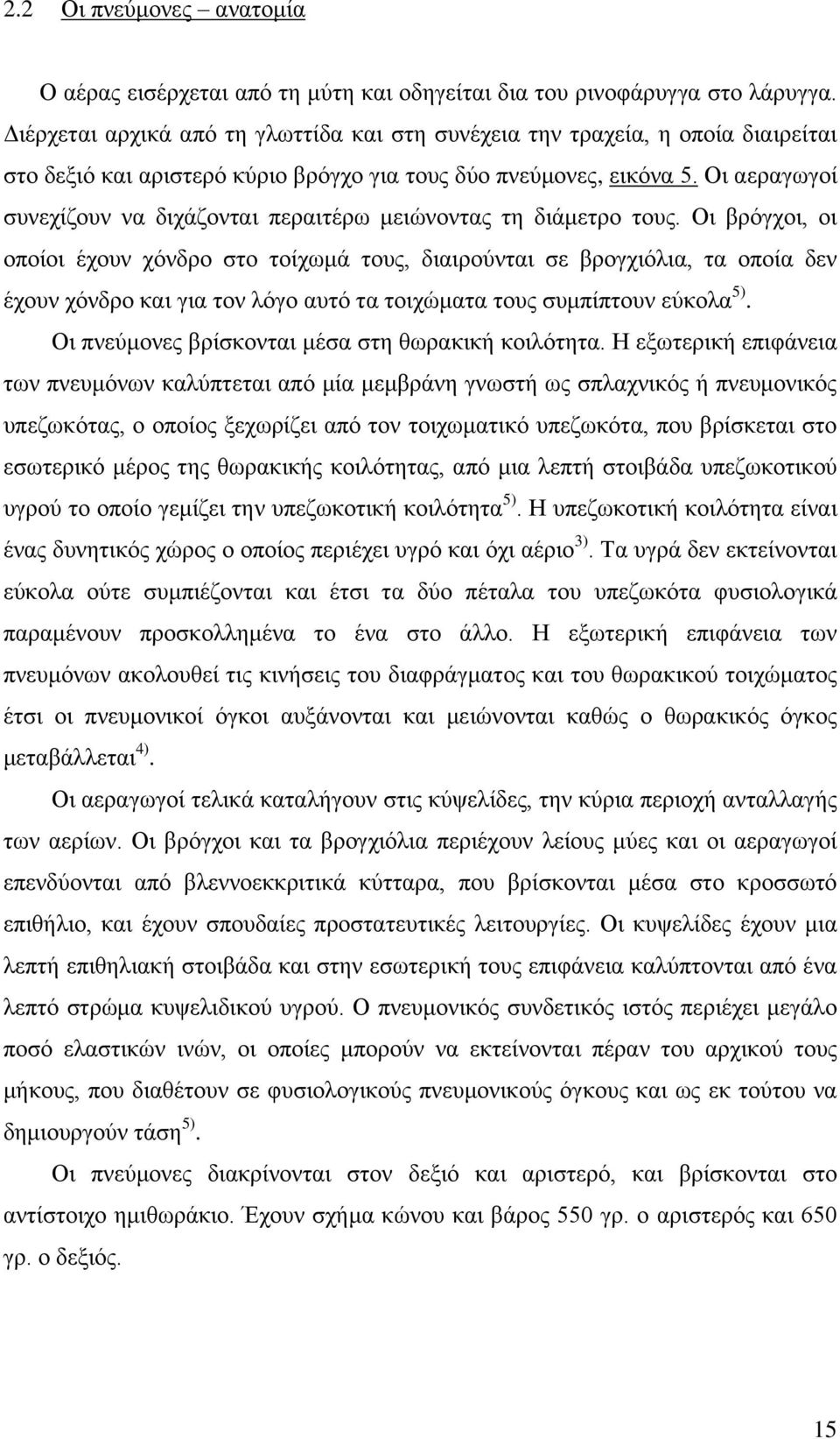 Οι αεραγωγοί συνεχίζουν να διχάζονται περαιτέρω μειώνοντας τη διάμετρο τους.