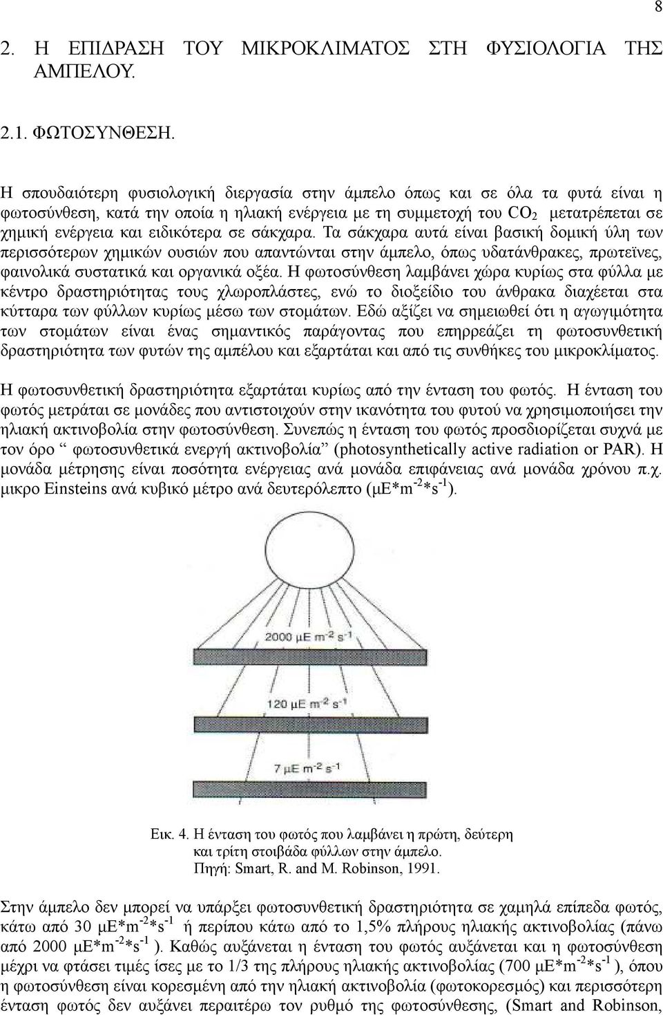 σε σάκχαρα. Τα σάκχαρα αυτά είναι βασική δοµική ύλη των περισσότερων χηµικών ουσιών που απαντώνται στην άµπελο, όπως υδατάνθρακες, πρωτεϊνες, φαινολικά συστατικά και οργανικά οξέα.