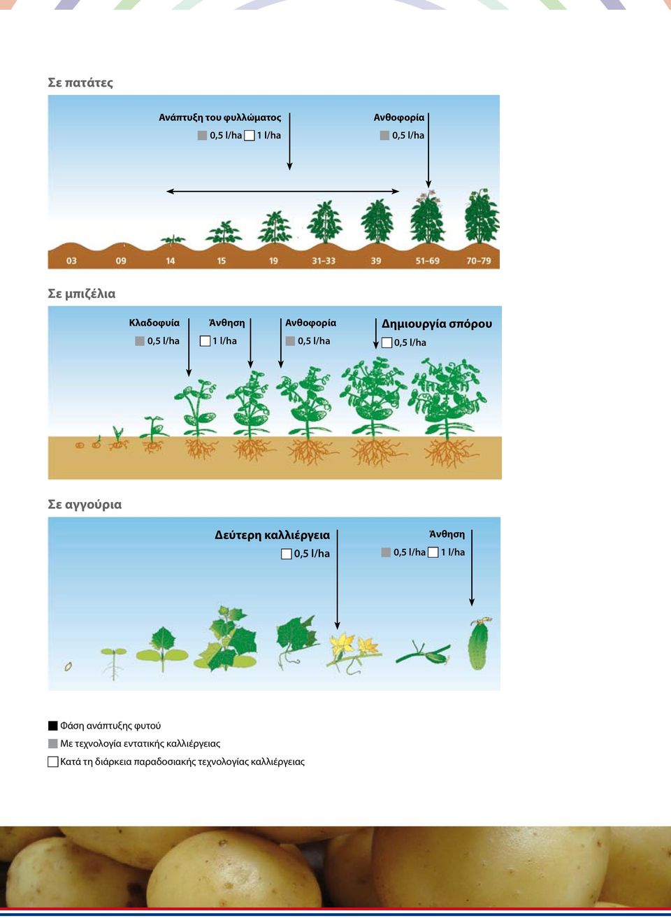 Δεύτερη καλλιέργεια Άνθηση 1 l/ha Φάση ανάπτυξης φυτού Με τεχνολογία