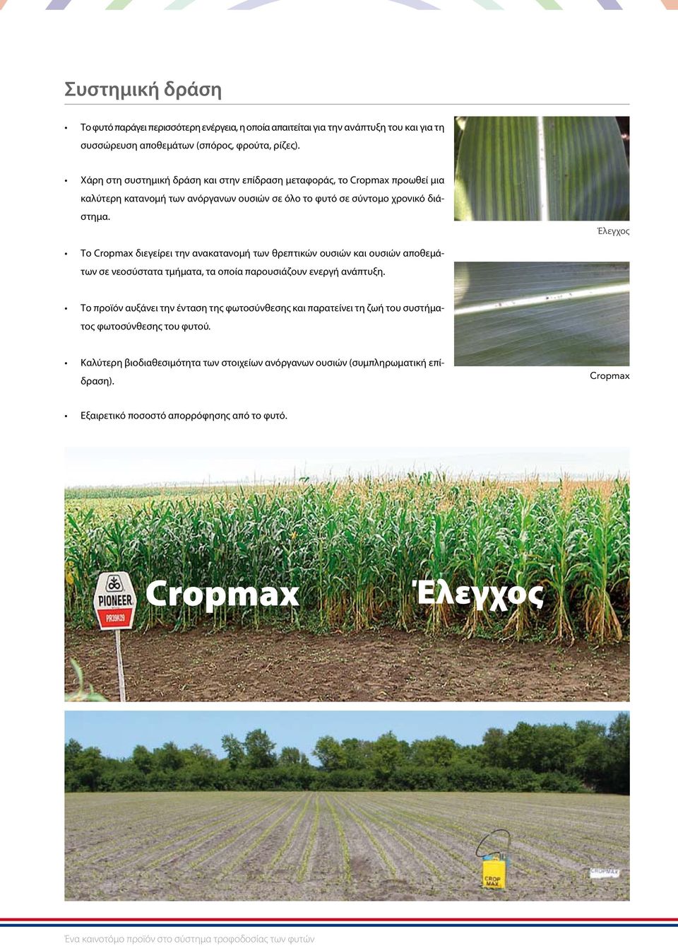 Έλεγχος Το Cropmax διεγείρει την ανακατανομή των θρεπτικών ουσιών και ουσιών αποθεμάτων σε νεοσύστατα τμήματα, τα οποία παρουσιάζουν ενεργή ανάπτυξη.