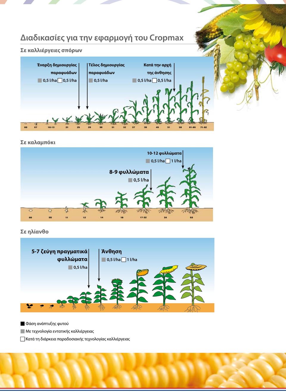 φυλλώματα 1 l/ha 8-9 φυλλώματα Σε ηλίανθο 5-7 ζεύγη πραγματικά φυλλώματα Άνθηση 1 l/ha Φάση