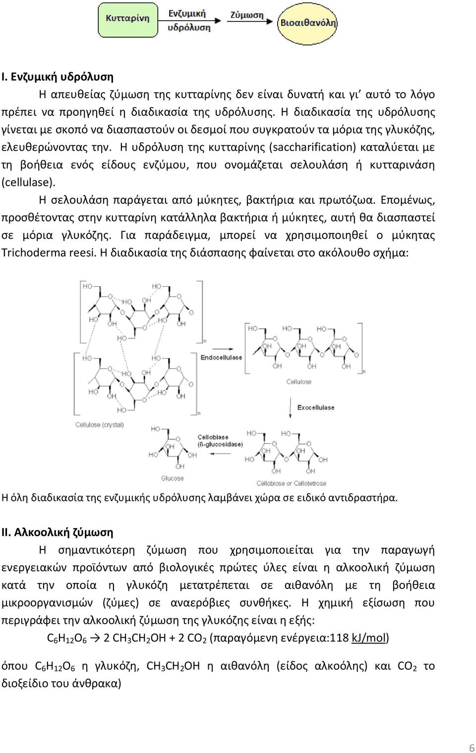 Η υδρόλυση της κυτταρίνης (saccharification) καταλύεται με τη βοήθεια ενός είδους ενζύμου, που ονομάζεται σελουλάση ή κυτταρινάση (cellulase). Η σελουλάση παράγεται από μύκητες, βακτήρια και πρωτόζωα.