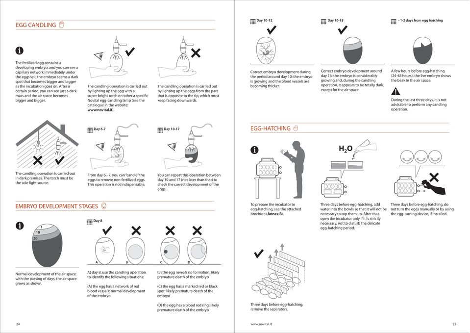 The candling operation is carried out by lighting up the egg with a super-bright torch or rather a specific Novital egg-candling lamp (see the catalogue in the website: www.novital.it).