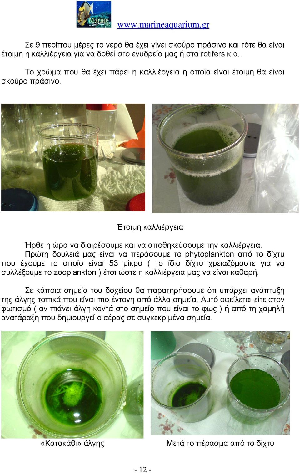 Πρώτη δουλειά μας είναι να περάσουμε το phytoplankton από το δίχτυ που έχουμε το οποίο είναι 53 μίκρο ( το ίδιο δίχτυ χρειαζόμαστε για να συλλέξουμε το zooplankton ) έτσι ώστε η καλλιέργεια μας να