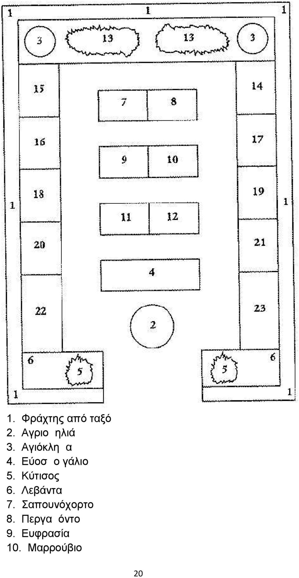 Κύτισος 6. Λεβάντα 7.