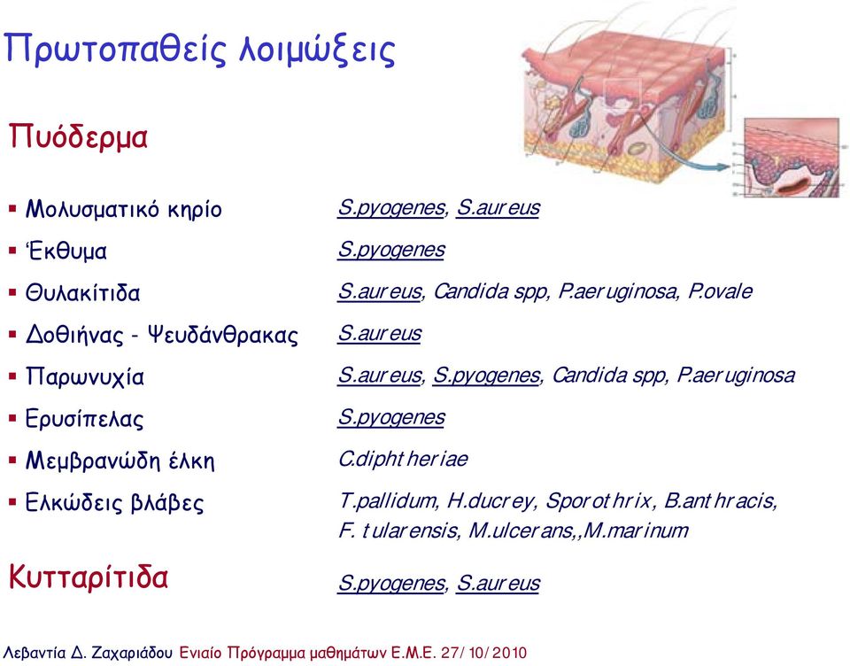 aureus, Candida spp, P.aeruginosa, P.ovale S.aureus S.aureus, S.pyogenes, Candida spp, P.aeruginosa S.