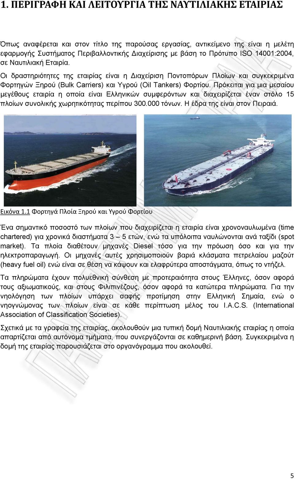 Πρόκειται για μια μεσαίου μεγέθους εταιρία η οποία είναι Ελληνικών συμφερόντων και διαχειρίζεται έναν στόλο 15 πλοίων συνολικής χωρητικότητας περίπου 300.000 τόνων. Η έδρα της είναι στον Πειραιά.